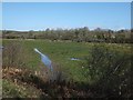 Marshy land by the River Camel 