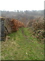 ST1892 : Track into woodland from Twyn Gwyn Road, Cwmfelinfach by Jaggery