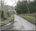 Road heading north between Hassendeanburn and Glenteviot