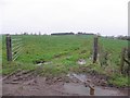 Muddy field, Kilcootry