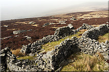 NY9628 : Sheepfold near summit of Monks Moor by Trevor Littlewood