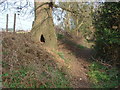 Footpath, Old Woking