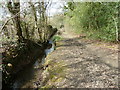 Stream beside bridleway to Castle Copse