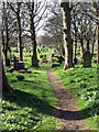 Path through the Gravestones