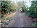 Bolehill Lane between Marsh Lane and Eckington