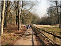 Path near Sedgewick Park