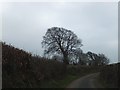 The highest point of the road over Barton Hill