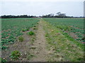 Bridleway 129 crossing farm land