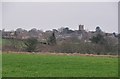 ST5114 : Odcombe : Grassy Field & Odcombe View by Lewis Clarke