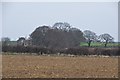 ST5115 : South Somerset : Ploughed Field by Lewis Clarke