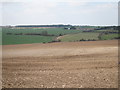 Fields near Great Mongham