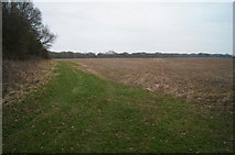 SU6046 : Field north of Nutley Lane by Mr Ignavy