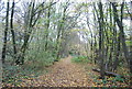 TQ7473 : Footpath, Great Chattenden Wood by N Chadwick