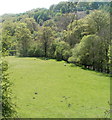 River meadow between Blaenavon and Cwmavon