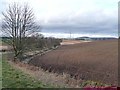 Ploughed field at Airlie