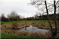 Pond by the path under Fulmar Street (with Heron)