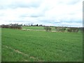 Arable Land near Elmton Lane