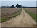 Restricted byway to Whin Close Villa, South Creake