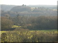 View south from the North Downs Way