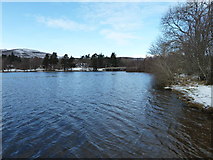 NH8305 : Loch Insh and Kincraig Bridge by Peter Bond