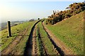 The Clwydian Way