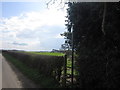 A footpath towards Grange Farm