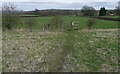 Footpath towards Spa Farm