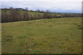 SO3621 : Farmland near Blantrothy Farm by Philip Halling