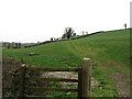 Farmland east of the Turmore Road