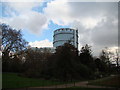 Gasometer viewed from Battersea Park