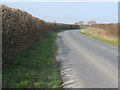 Trim hedges on Bradford