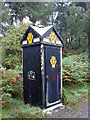 AA Phone Box in need of some TLC