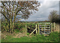 Gated footbridge over Rea Brook