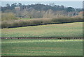 SP6914 : View towards Wotton House by Graham Horn