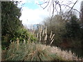 View of the gasometer from the path next to the lake