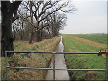 TA0946 : Drain  going  east   from  Heigholme  Lane by Martin Dawes