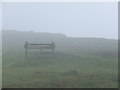 TV4997 : Mist at Seaford Head by Malc McDonald