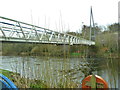 O0272 : Footbridge over the River Boyne at Newgrange by Graham Hogg