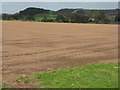 Newly sown field at Broxton