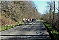 Sunday Morning Cyclists