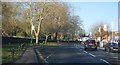 Bus stop, Ash Rd