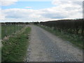 Bridleway just south of Greystone Farm