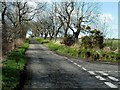 Minor Road Near Straiton