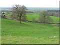 Fields at Higher Burwardsley