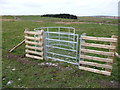 New kissing gate on Glyndwr