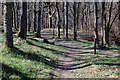 Footpaths in Black Spout Wood, Pitlochry