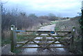 Entering Bothenhampton Nature Reserve