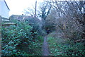 Footpath in Bothenhampton