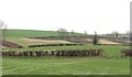 Ploughing on the slopes of Butter Hill