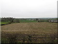 Potato field between Carncally and Loughorne Roads